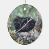 Porcupine in boomdierlijk Ornament (Links)