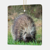 Porcupine in Ricketts Glenn Keramisch Ornament (Links)