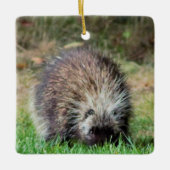Porcupine in Ricketts Glenn Keramisch Ornament (Voorkant)
