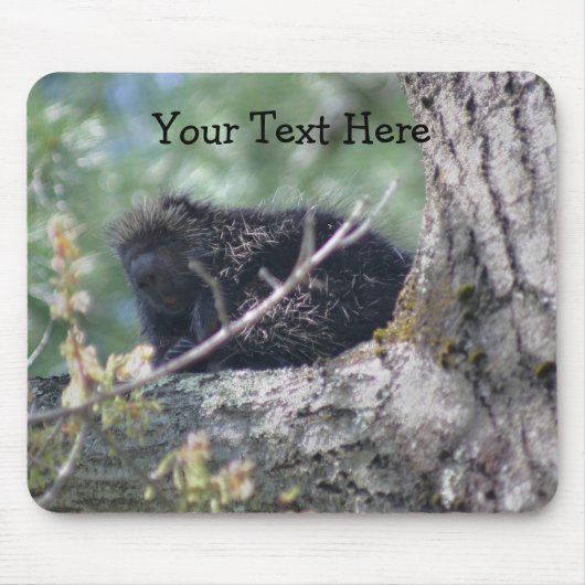 Porcupine in Tree Animal Natuur Foto Mousepad Muismat (Voorkant)