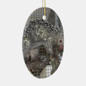 Porcupine Keramisch Ornament (Rechts)