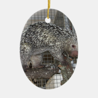 Porcupine Keramisch Ornament