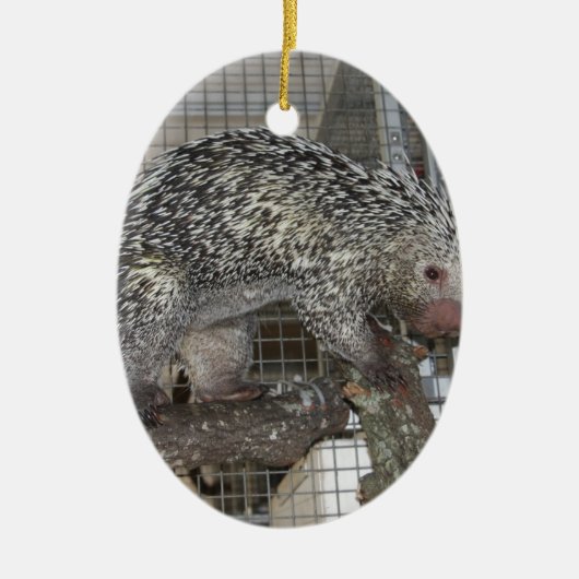 Porcupine Keramisch Ornament (Voorkant)