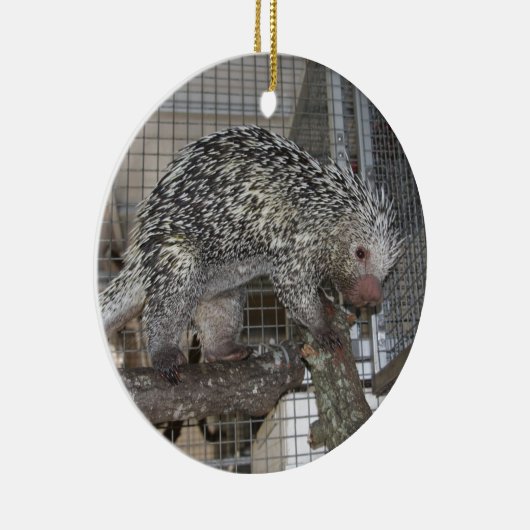 Porcupine Keramisch Ornament (Rechts)