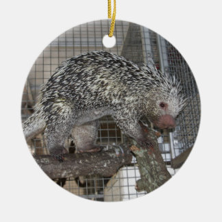 Porcupine Keramisch Ornament