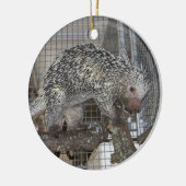 Porcupine Keramisch Ornament (Links)