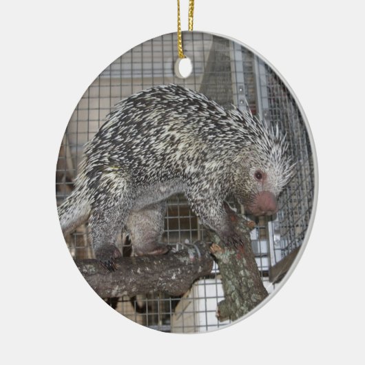 Porcupine Keramisch Ornament (Links)