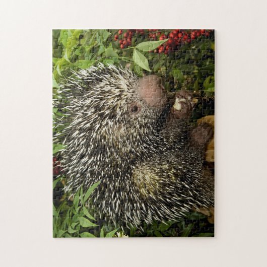 Porcupine Legpuzzel (Verticaal)