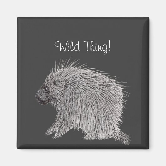 Porcupine Magneet (Voorkant)