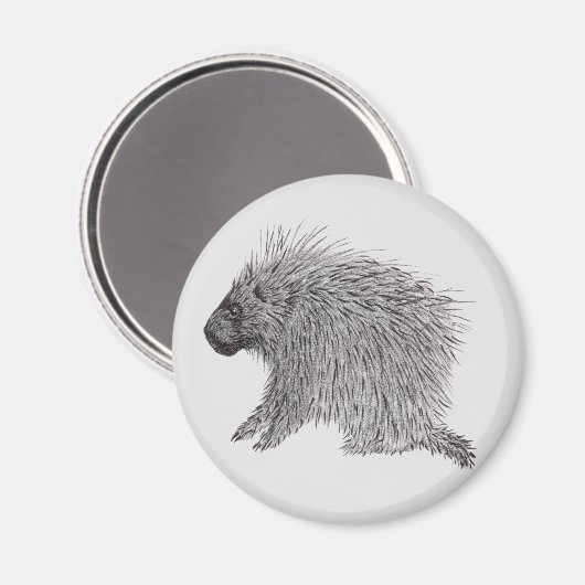 Porcupine Magneet (Voorkant / Achterkant)