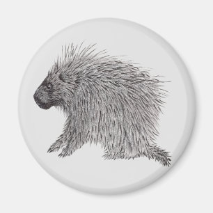 Porcupine Magneet
