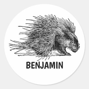 Porcupine met naam, speciaal op school Ronde Sticker