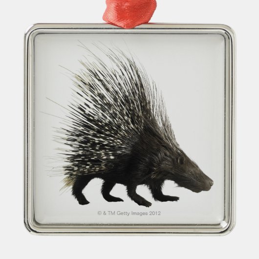 Porcupine Metalen Ornament (Voorkant)