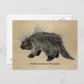 Porcupine op oud papier briefkaart (Voorkant / Achterkant)