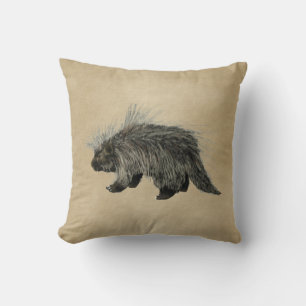 Porcupine op oud papier kussen