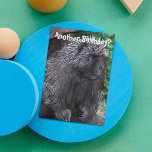 Porcupine Photo Funny Birthday Kaart<br><div class="desc">Nog een verjaardag? Deze grappige,  diervriendelijke verjaardagskaart is voorzien van het foto-afbeelding van een zwarte Porcupine met een paar grijze rillingen. Selecteer uit steen of glanzende stijlkaart.</div>