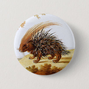 Porcupine - Porcupine Painting (detail) Ronde Button 5,7 Cm