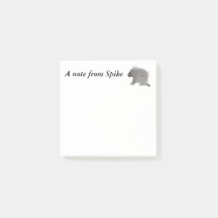 Porcupine Post-it® Notes