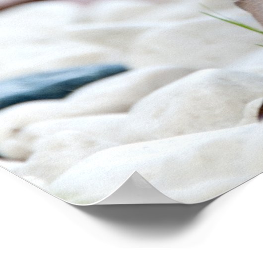 Porcupine Poster (Hoek)