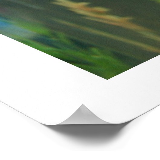 Porcupine Puffer Poster (Hoek)