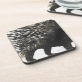 Porcupine quills bier onderzetter (Linkerzijde)