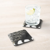 Porcupine quills bier onderzetter (Rechterzijde)