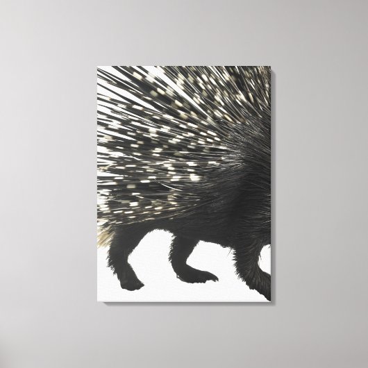 Porcupine quills canvas afdruk (Voorkant)