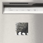 Porcupine quills magneet (Insitu (Vaatwasser))