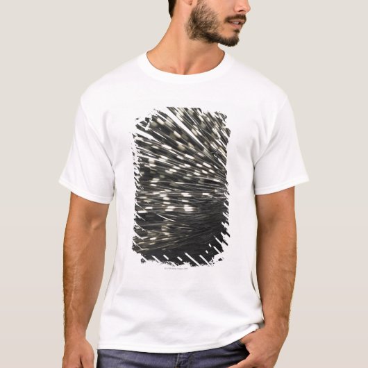Porcupine quills t-shirt (Voorkant)