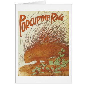Porcupine Rag Songbook Hoesje