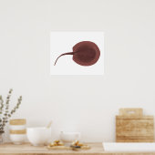 Porcupine River Stingray Poster (Keuken)