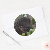 porcupine ronde sticker (Envelop)