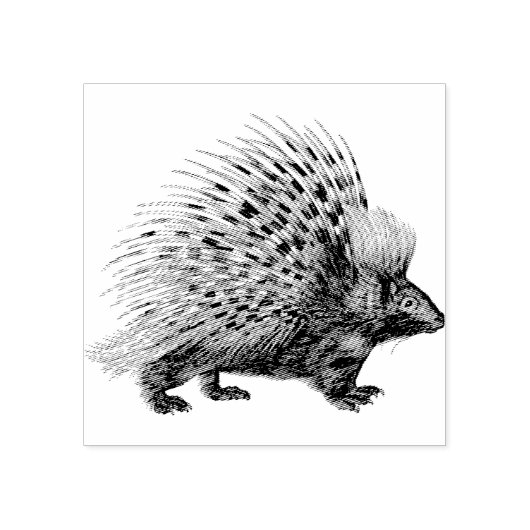 Porcupine | Rubberstempel (Afrduk)