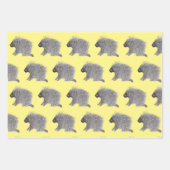 Porcupine, slak en houtkikker inpakpapier vel (Voorkant)