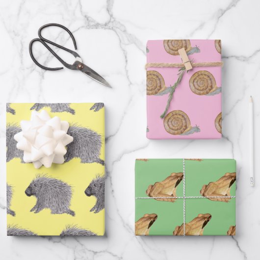 Porcupine, slak en houtkikker inpakpapier vel (Voorkant)