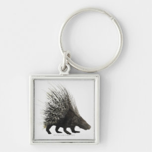 Porcupine Sleutelhanger