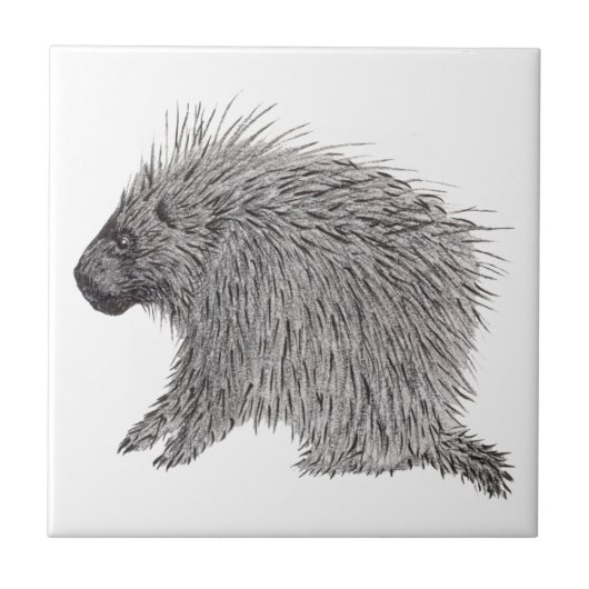 Porcupine Tegeltje (Voorkant)