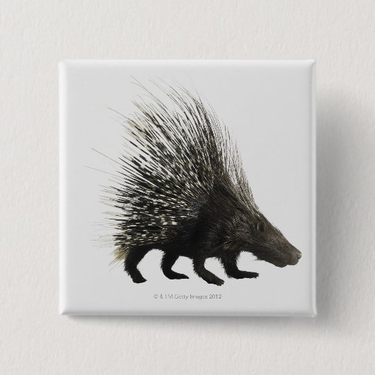 Porcupine Vierkante Button 5,1 Cm (Voorkant)