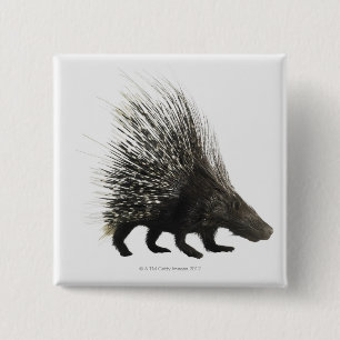 Porcupine Vierkante Button 5,1 Cm