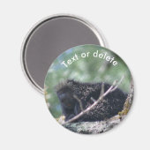 Porcupine Wildlife Animal Nature Personalized Magneet (Voorkant / Achterkant)