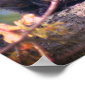 Porcupine Wildlife Animal Natuur Poster (Hoek)