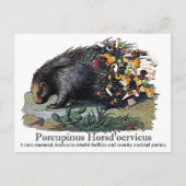 Porcupinus Hoerd'oervicus Briefkaart (Voorkant)