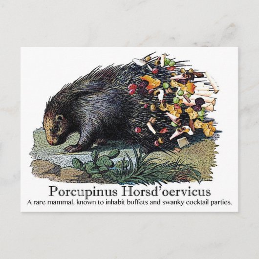 Porcupinus Hoerd'oervicus Briefkaart (Voorkant)