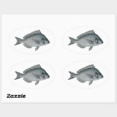 Porgy - Scup Ovale Sticker (Vel)
