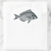 Porgy - Scup Ovale Sticker (Tas)