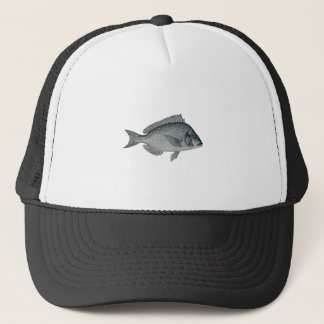 Porgy - Scup Trucker Pet