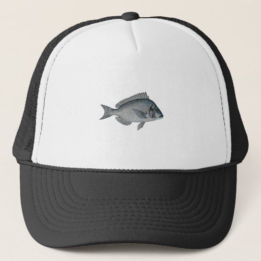 Porgy - Scup Trucker Pet (Voorkant)