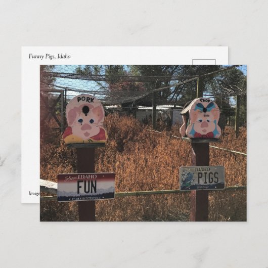 Pork Chop, Fun Pigs, Idaho Funny Signs Briefkaart (Voorkant / Achterkant)