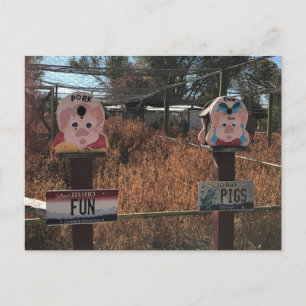 Pork Chop, Fun Pigs, Idaho Funny Signs Briefkaart