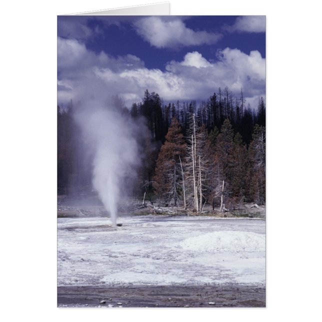 Pork Chop Geyser, Yellowstone National Park (Voorkant)
